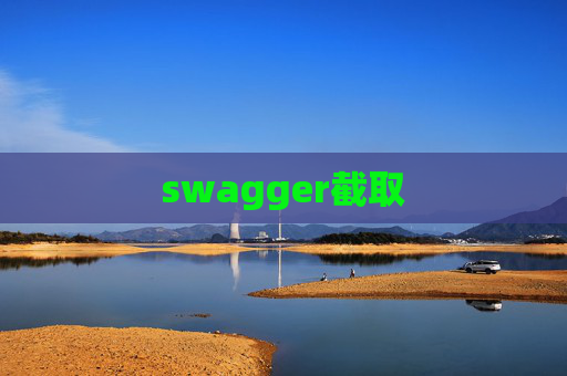 swagger截取